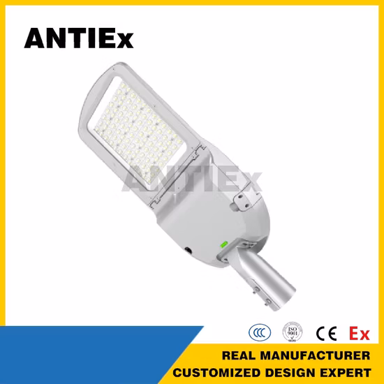 Eco218L 2*2FT Workshop IP65 LED-Deckenleuchte LED wetterfestes Licht